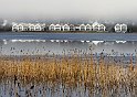 Vinter6 Åsunden